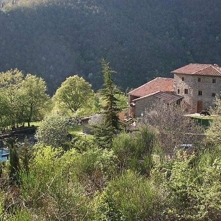 Вілла Podere Pian De' Cortini Serravalle  Екстер'єр фото