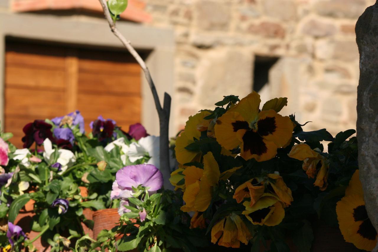 Вілла Podere Pian De' Cortini Serravalle  Екстер'єр фото