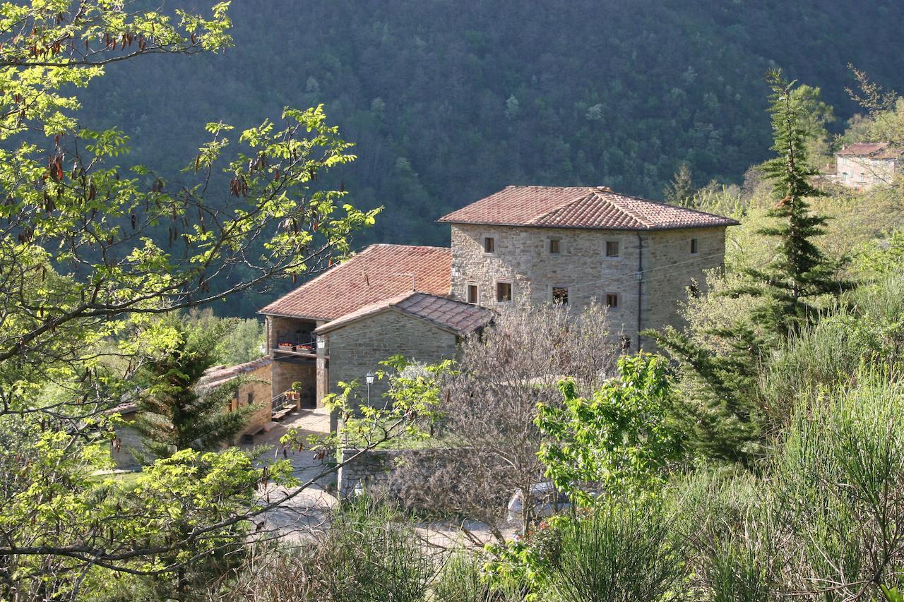 Вілла Podere Pian De' Cortini Serravalle  Екстер'єр фото